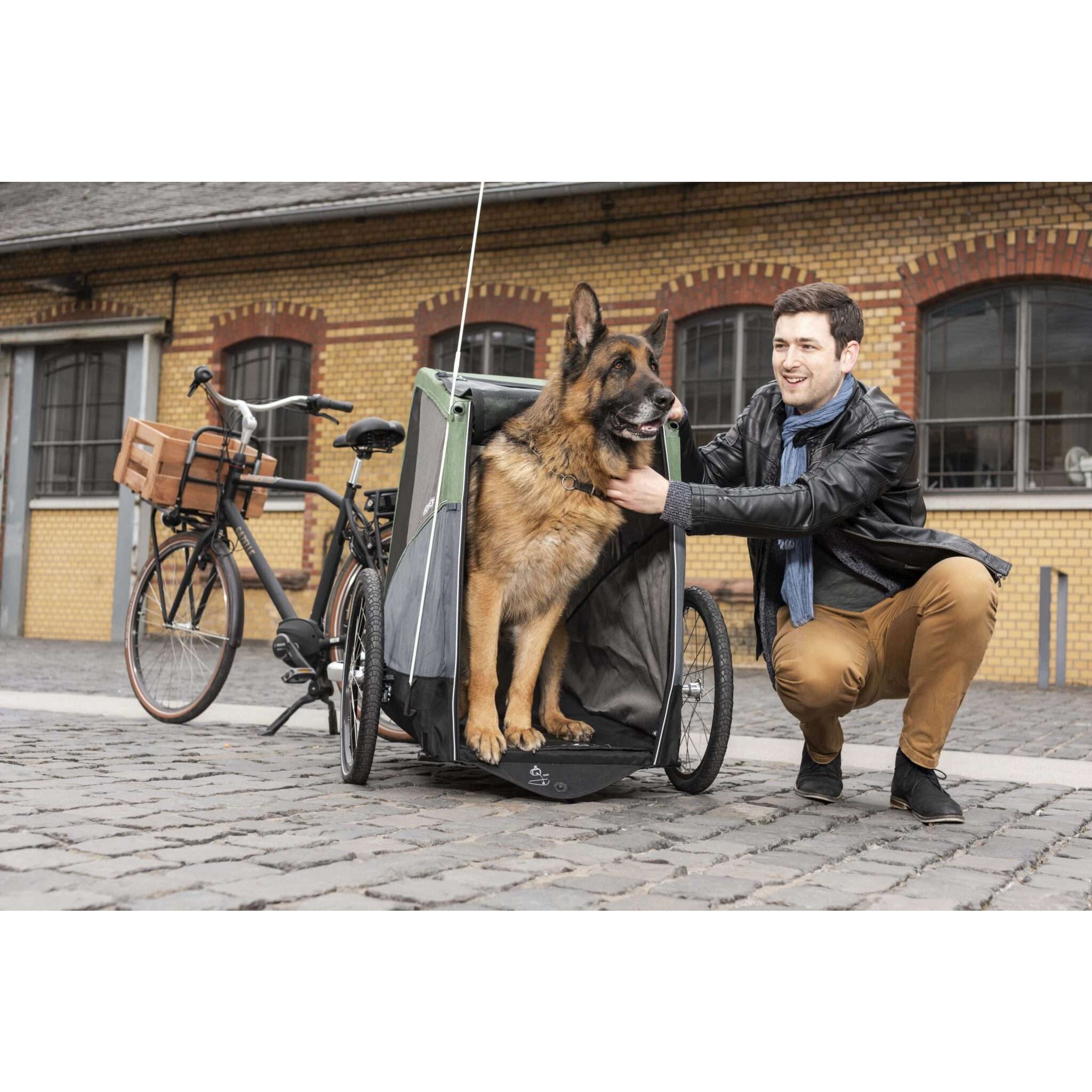 Croozer_Dog_XXL_Bike_Action03_2019_web Croozer_Dog_XXL_Bike_Action03_2019_web